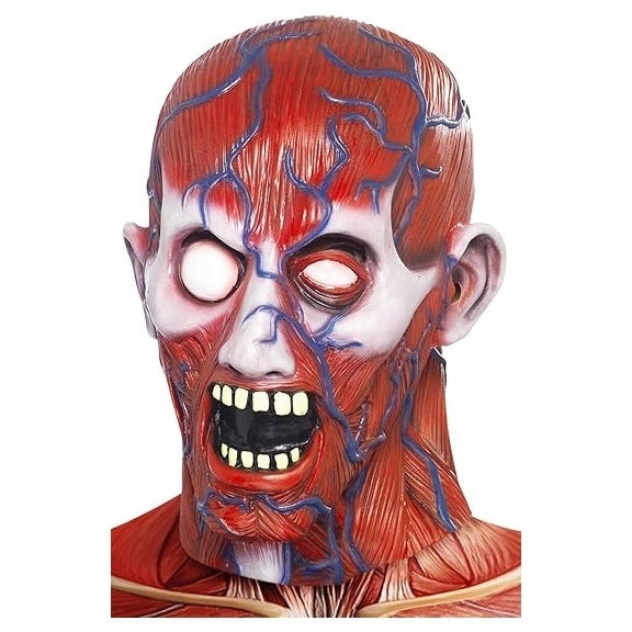 Anatomy Man Mask 