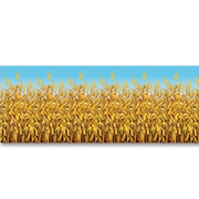 Cornstalks Backdrop 4'x30' 