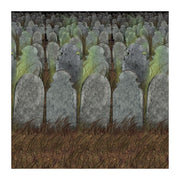 Graveyard Backdrop 4'x30' 