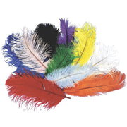 Ostrich Plume 12-15"