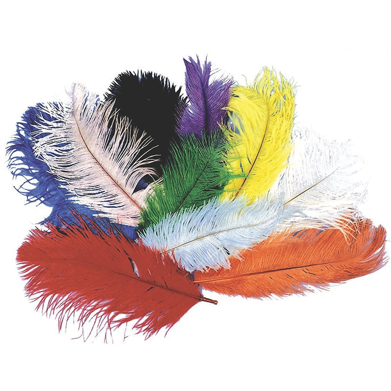 Ostrich Plume 12-15"