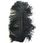 Ostrich Plume 18-21" 