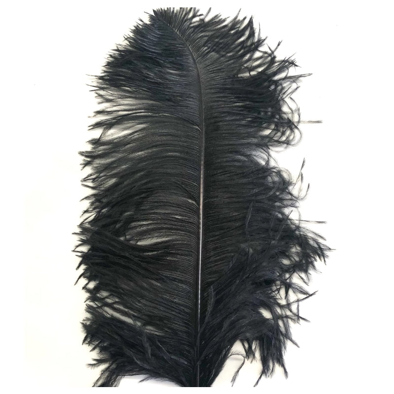 Ostrich Plume 18-21" 