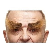 Natural Eyebrows 