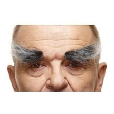 Natural Eyebrows 
