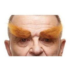 Natural Eyebrows 