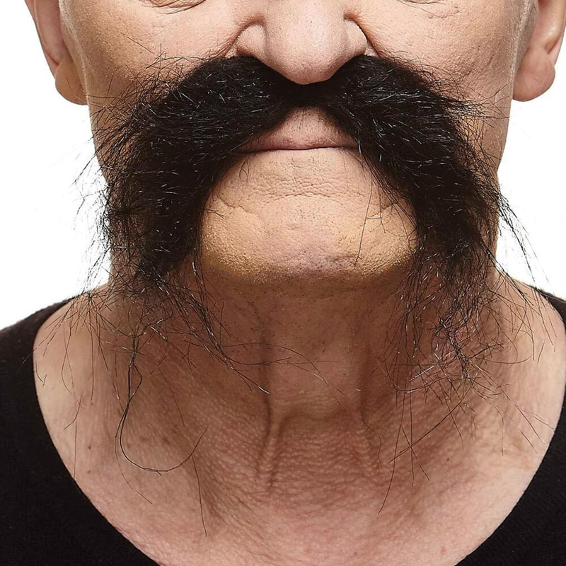 Imperial Moustache