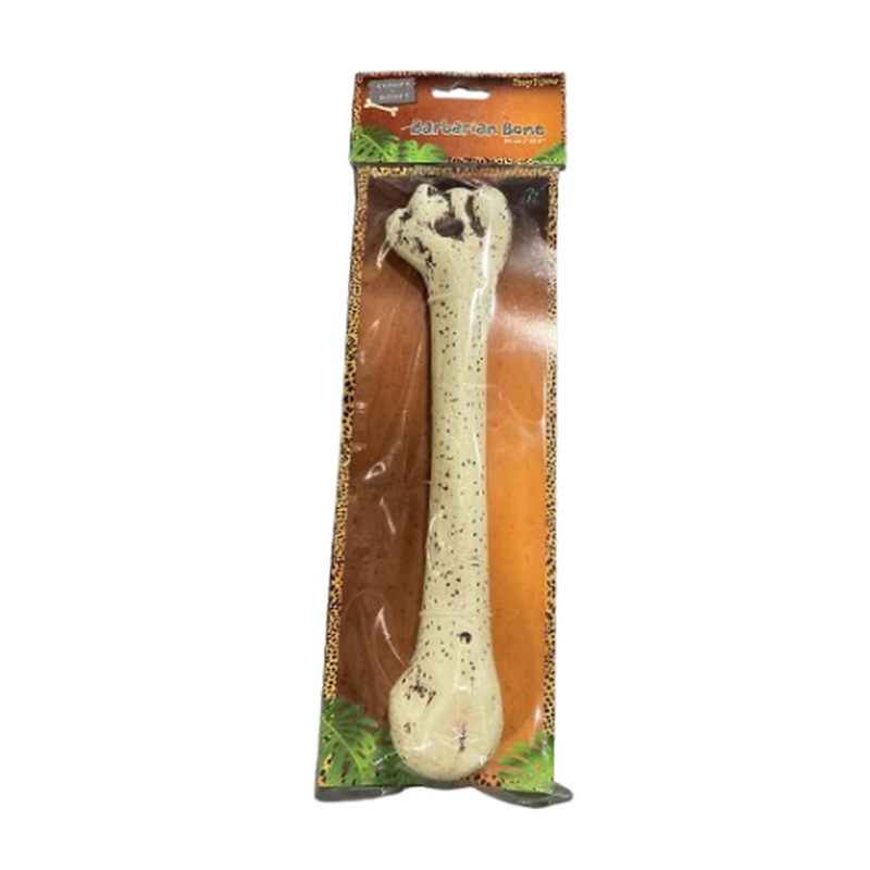 Body Bone 
