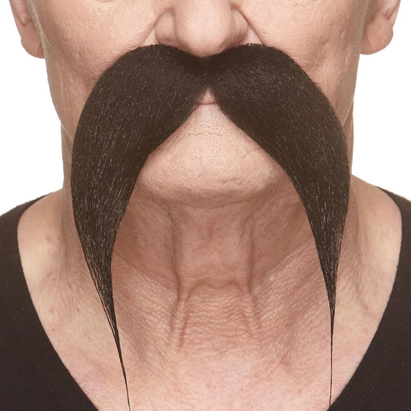 Kung Fu Master Mustache