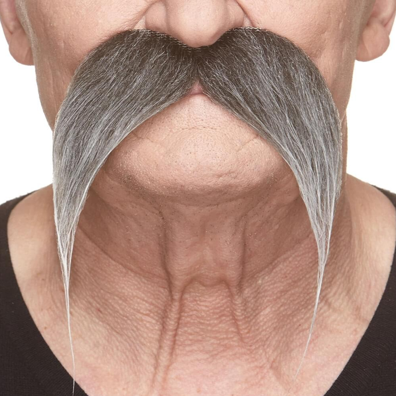 Kung Fu Master Mustache