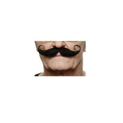Maestro Mustache