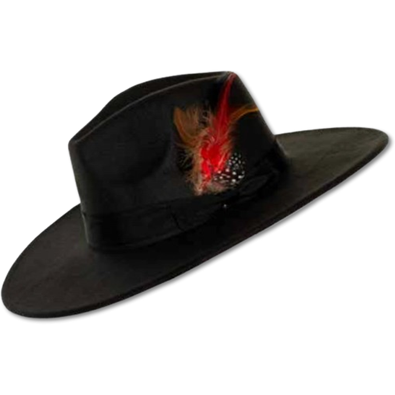 Wide Brim Felt Fedora Hat