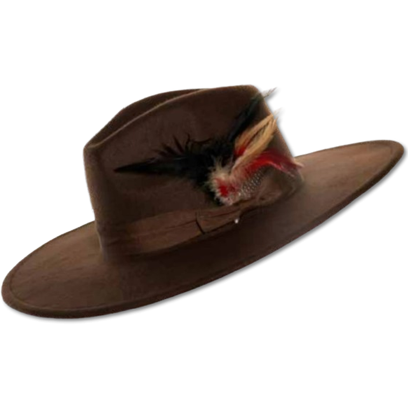 Wide Brim Felt Fedora Hat
