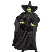 Wizard of Oz Wicked Witch Adult Costume Plus Size