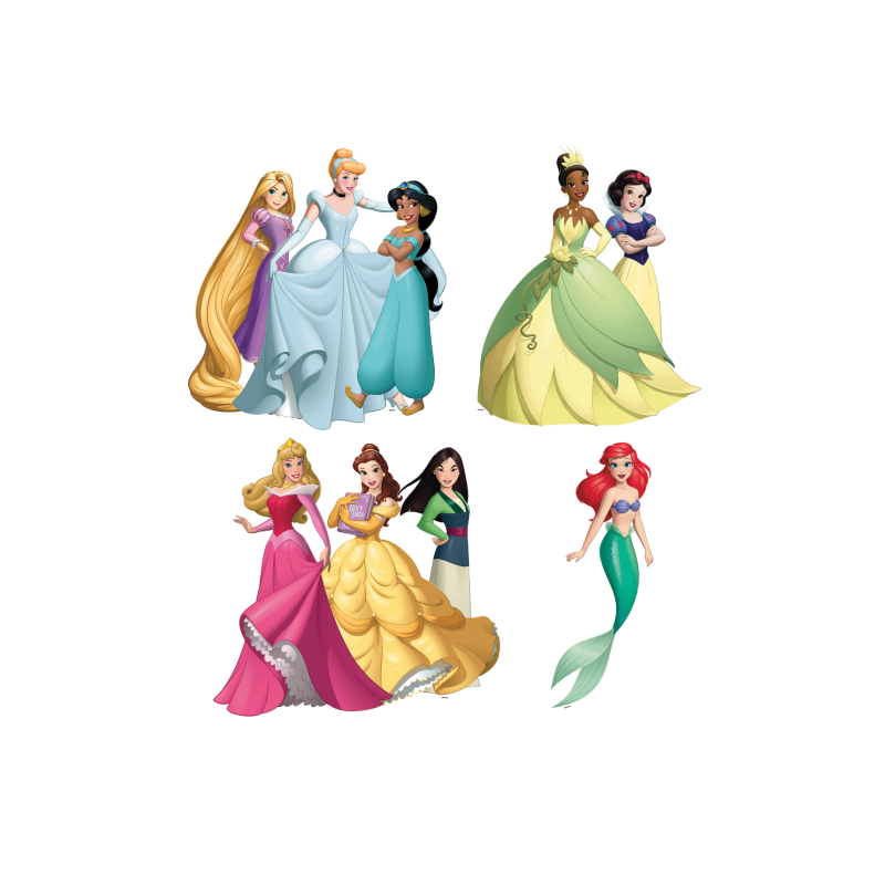 Disney Princess Treat Your Trunk Kit