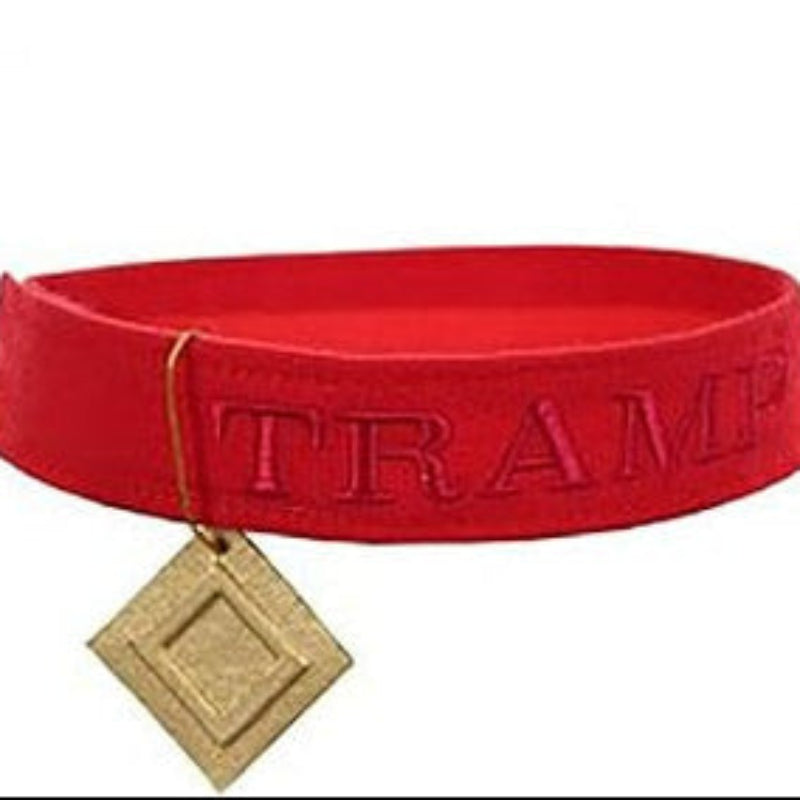 Disney Tramp Collar