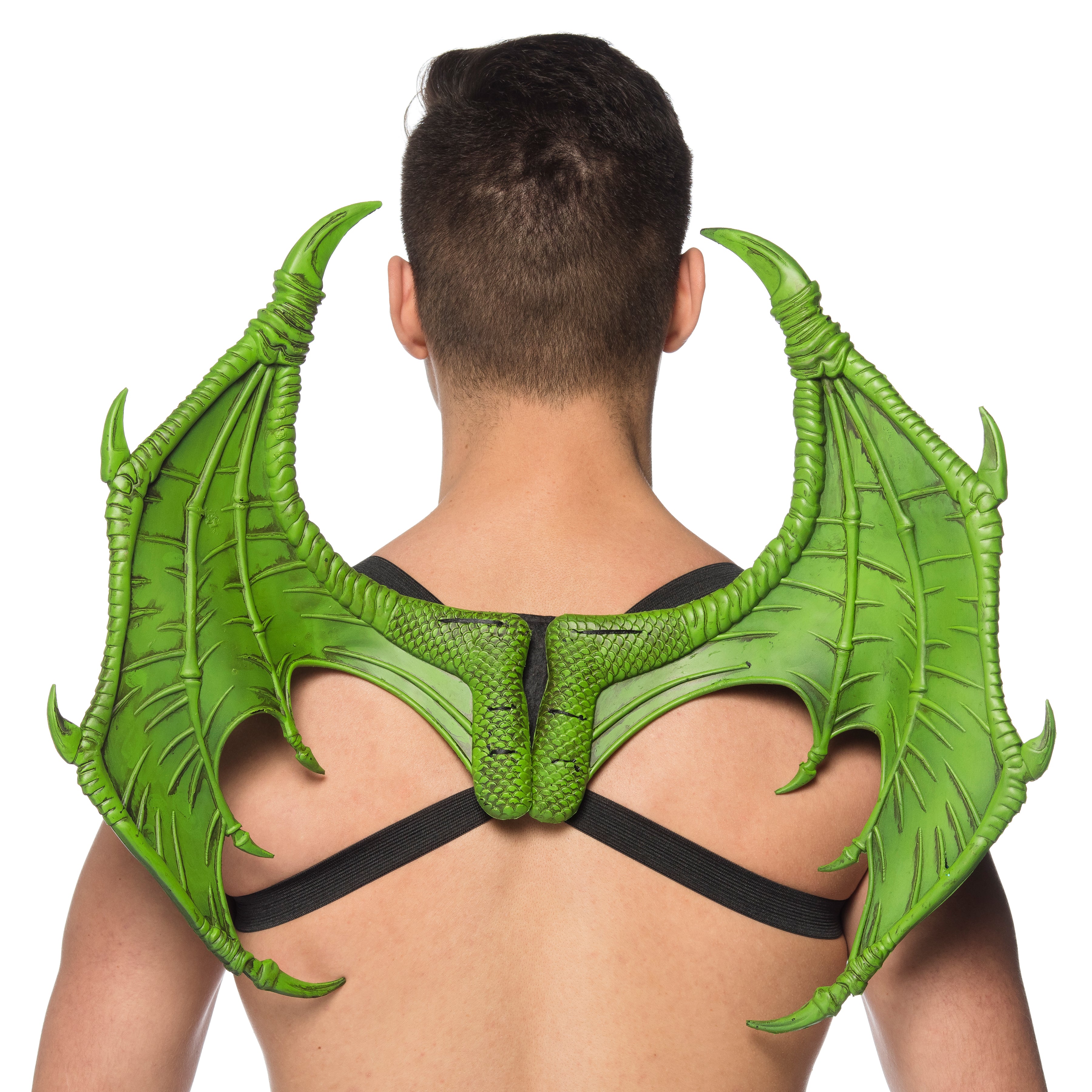 Dragon Wings - Mini