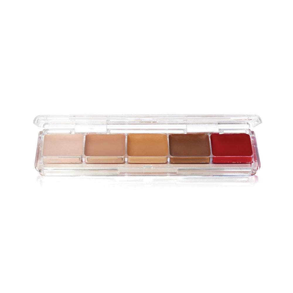 Alcohol Activated Pallets (AAP) Ben Nye Makeup