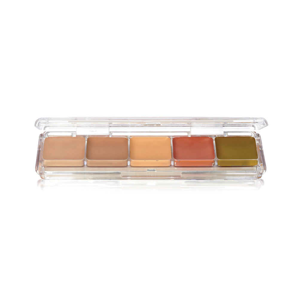 Alcohol Activated Pallets (AAP) Ben Nye Makeup