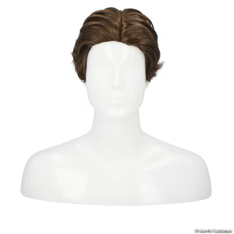 Men's Middle Part Wig