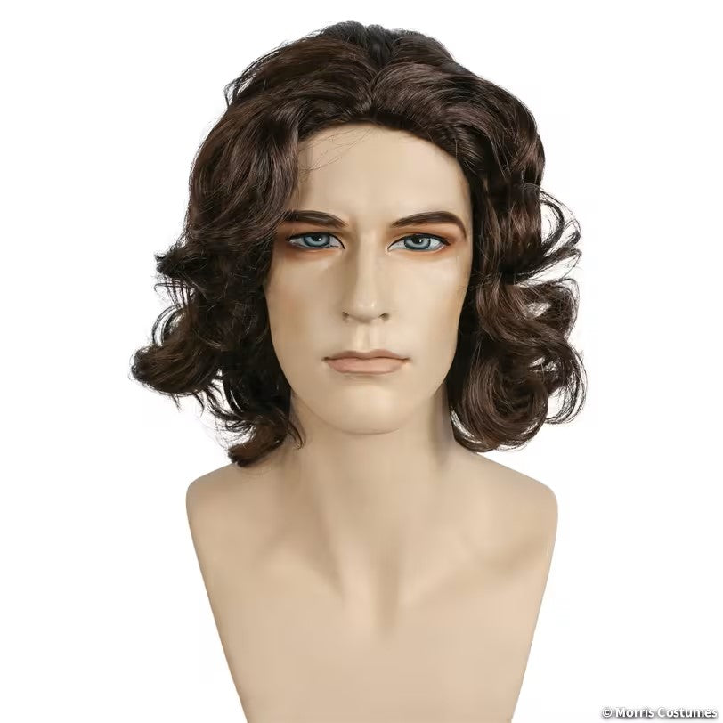 Beethoven Wig