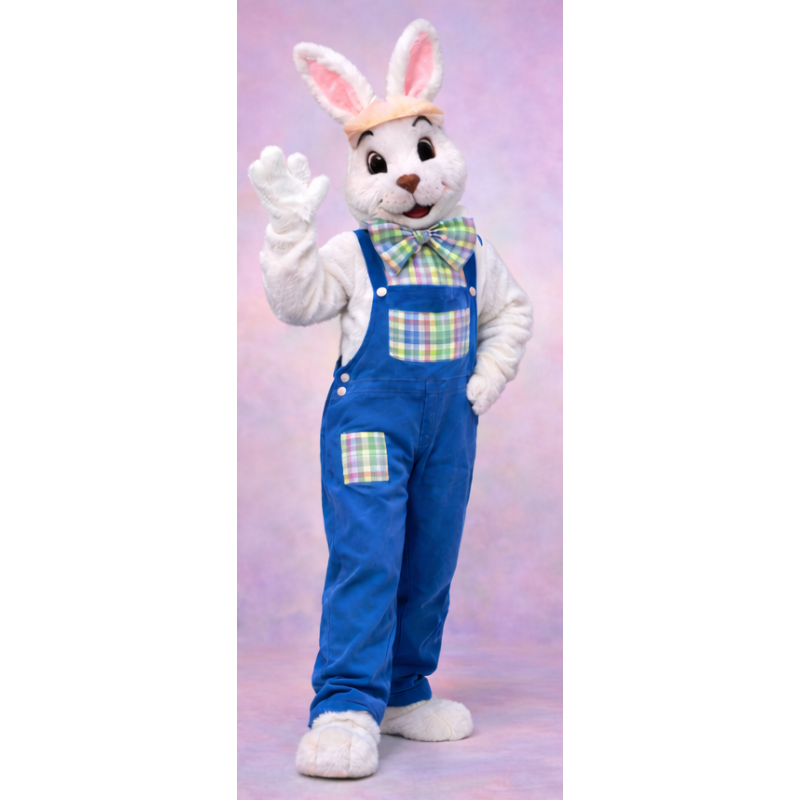 Easter Bunny Mascot Rental