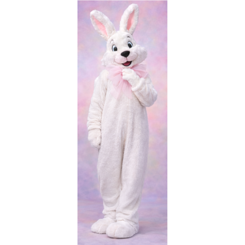 Easter Bunny Mascot Rental