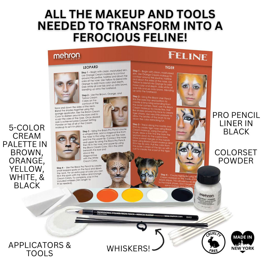 Cat/Animal Makeup Kit