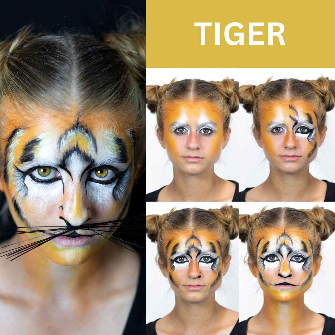 Cat/Animal Makeup Kit
