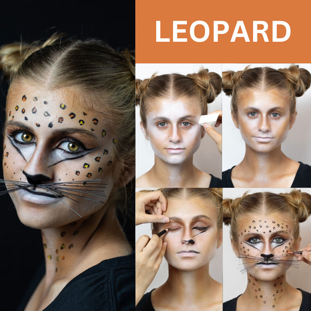 Cat/Animal Makeup Kit