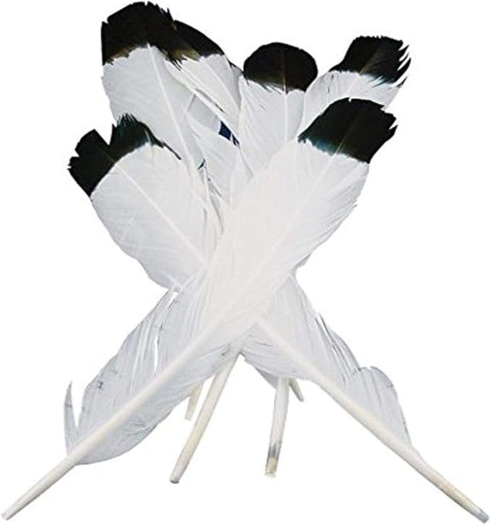 Eagle Quill