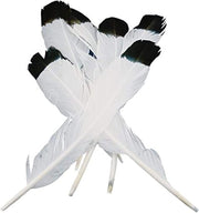 Eagle Quill