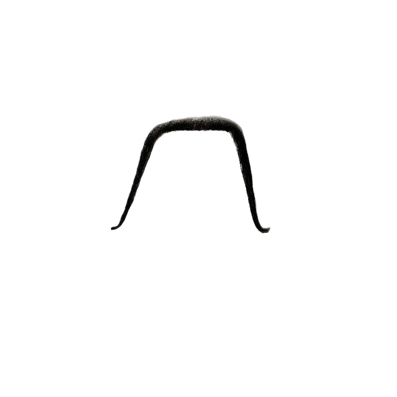 Black Mandarin Synthetic Moustache