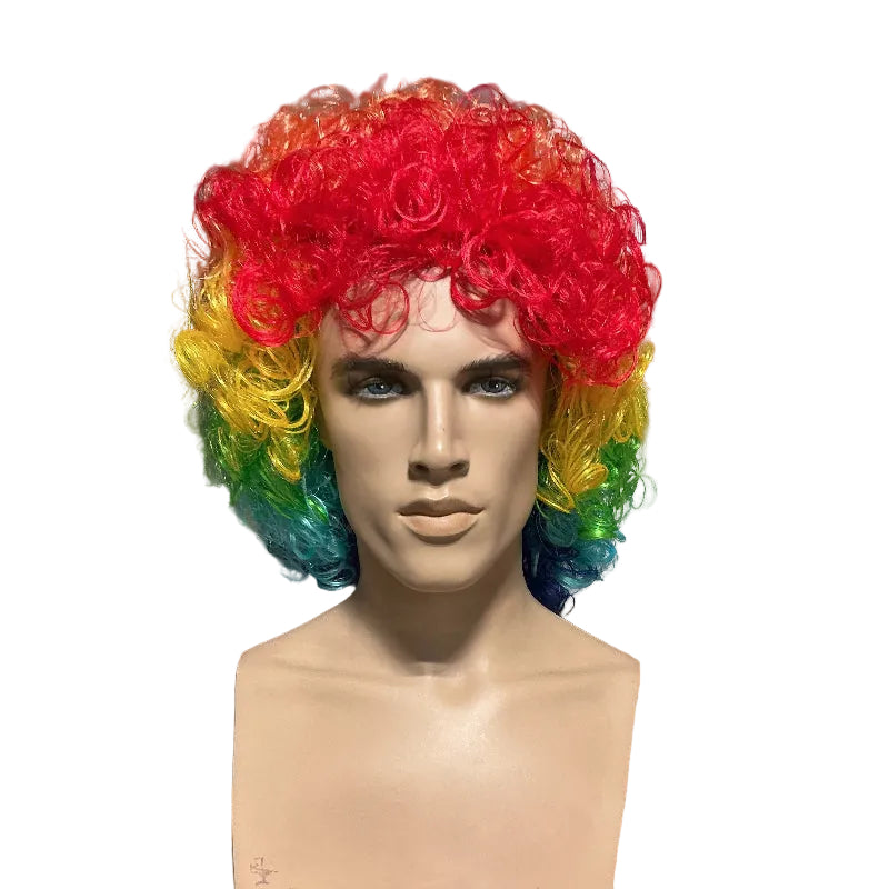 Long Unisex Curly Clown Wig