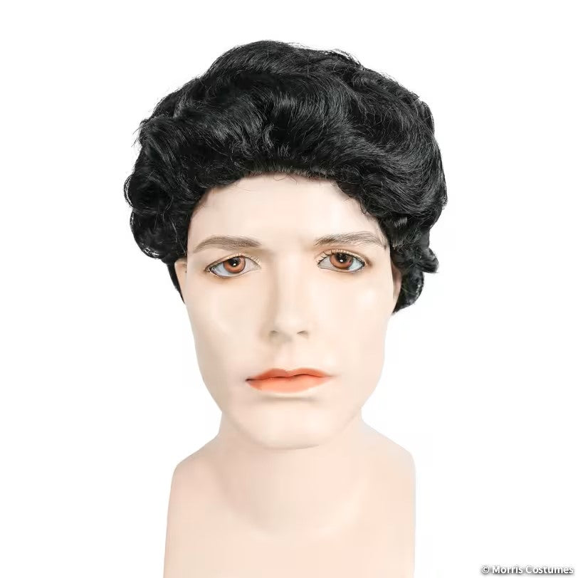 Colonial Man Wig Deluxe