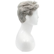 Men's Costume Wig