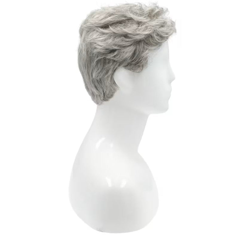 Men's Costume Wig