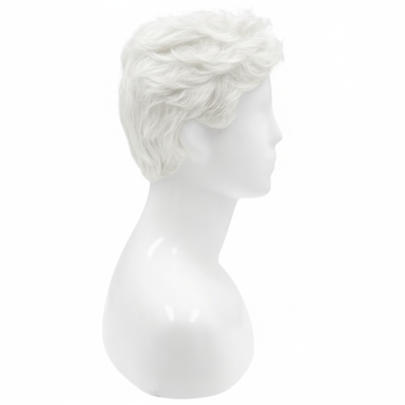 Men's Costume Wig