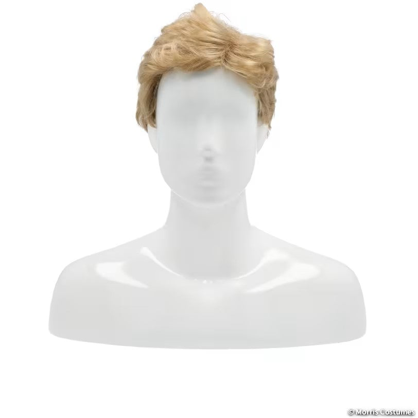 Men's Costume Wig