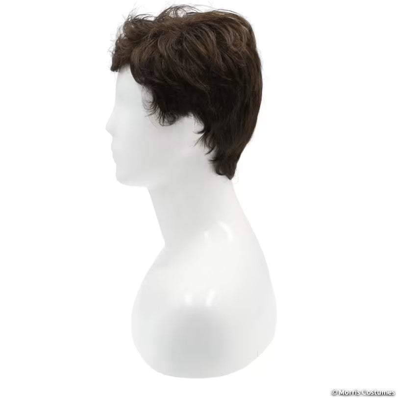 Men's Costume Wig