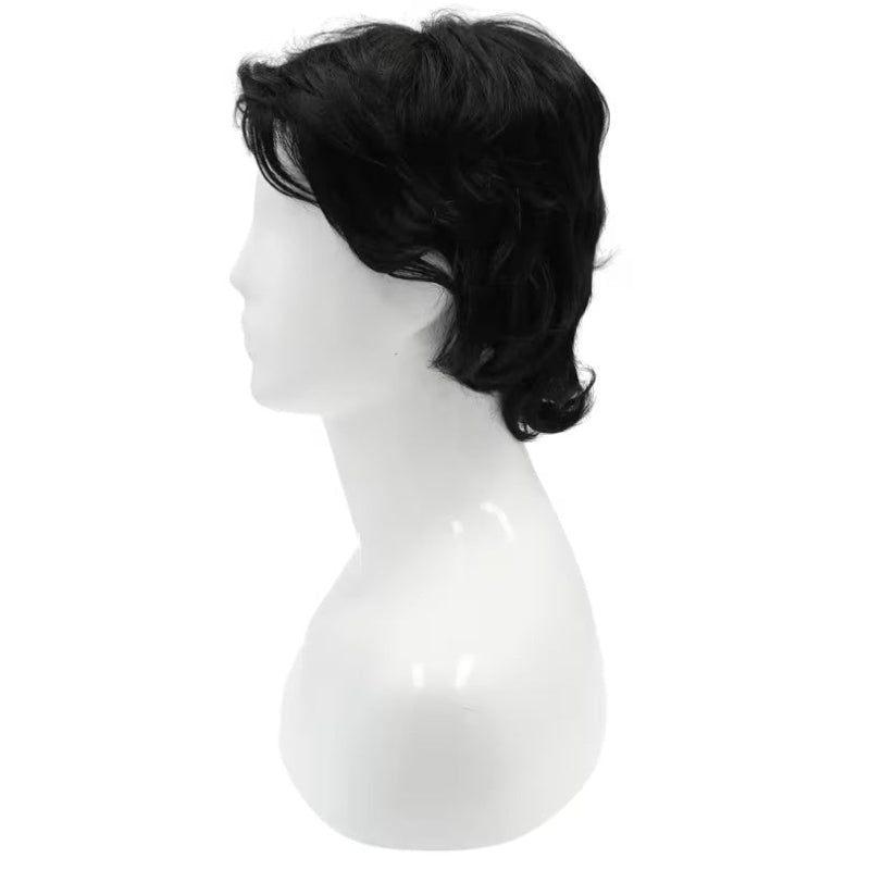 Long Shag Men's Wig
