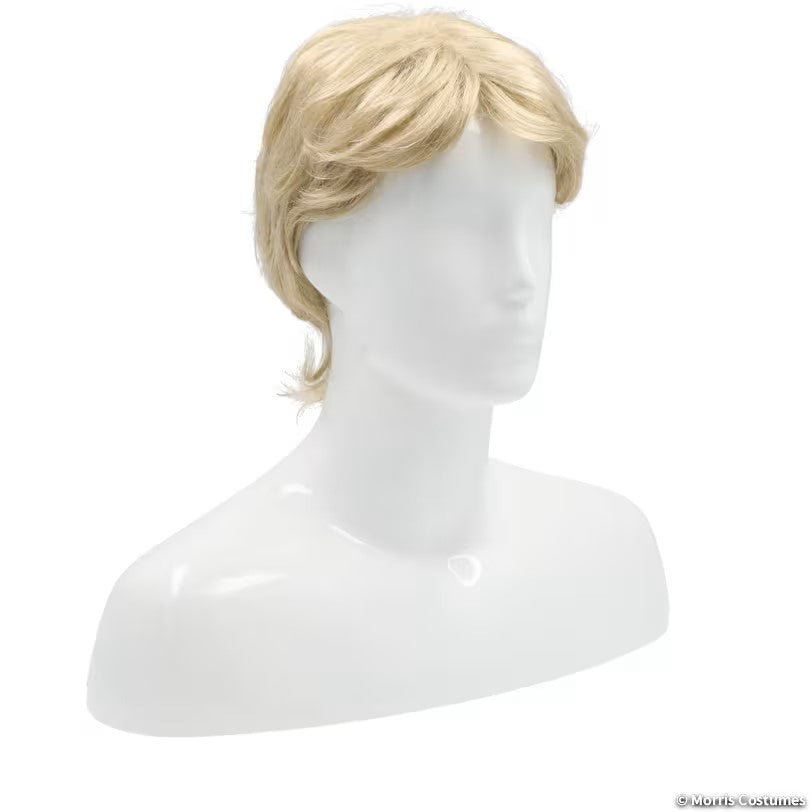 Long Shag Men's Wig