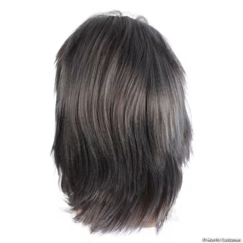 Neptune Wig and Beard Set