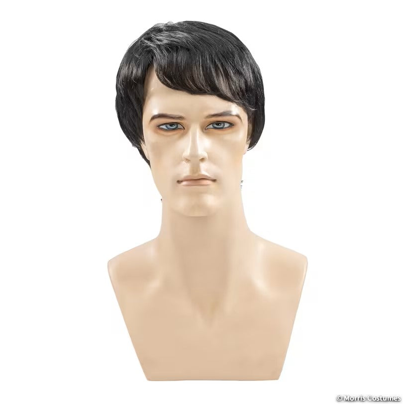 Sidepart Mens Wig - Deluxe