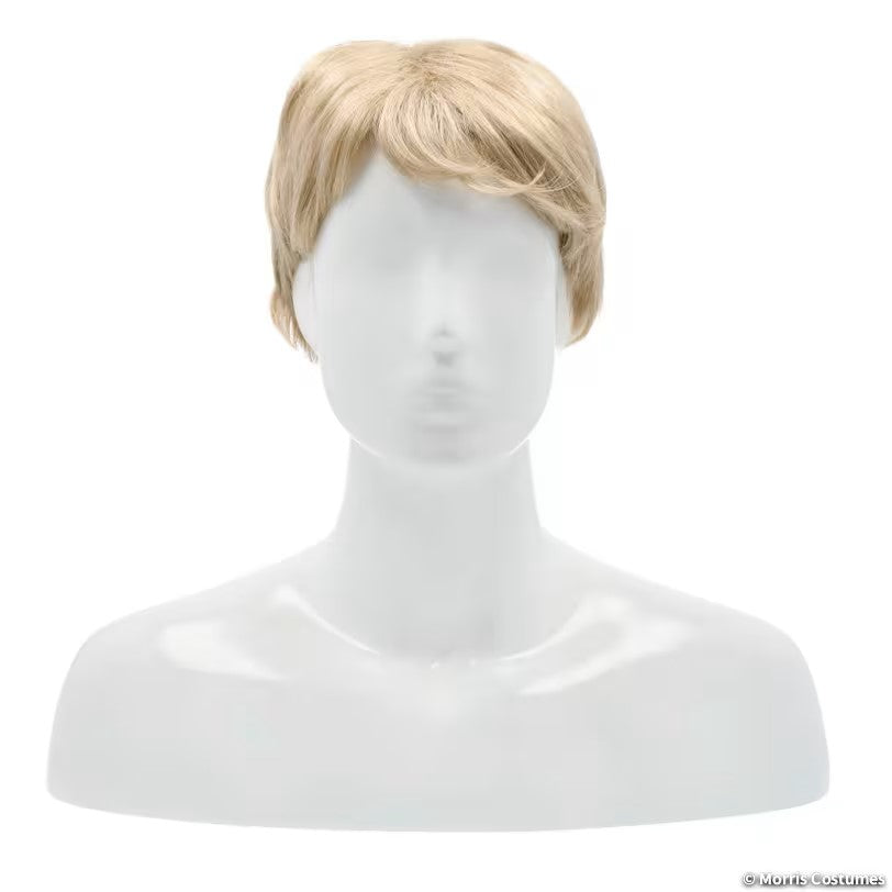 Sidepart Mens Wig - Deluxe