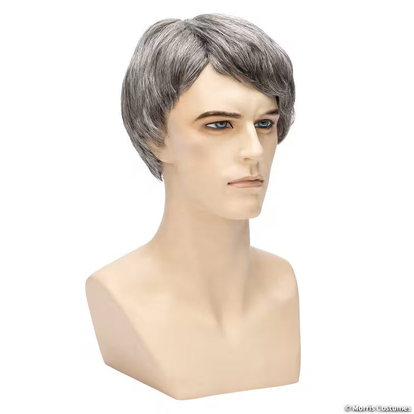 Sidepart Mens Wig - Deluxe