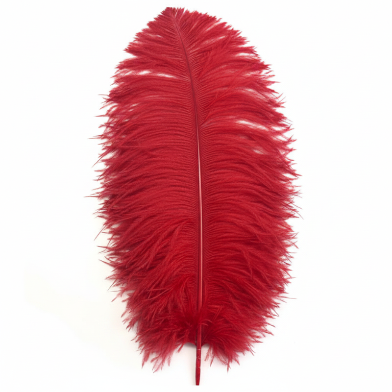 Ostrich Plume 18-21"