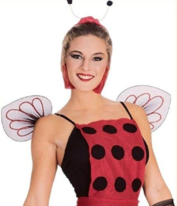 Ladybug Kit Adult