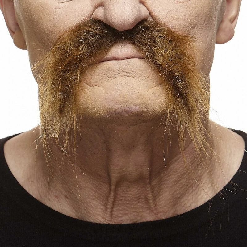 Imperial Moustache