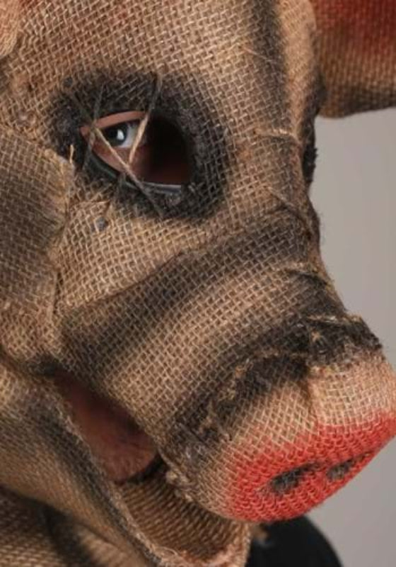 Pig Scarecrow Mask